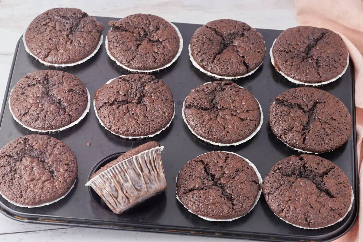 metal muffinsform med friskbagte chokolademuffins.