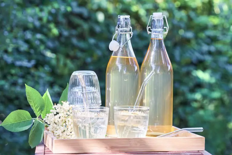 hjemmelavet hyldeblomstsaft i saftflasker med glas med hyldeblomstdrik og isterninger på en sommerdag