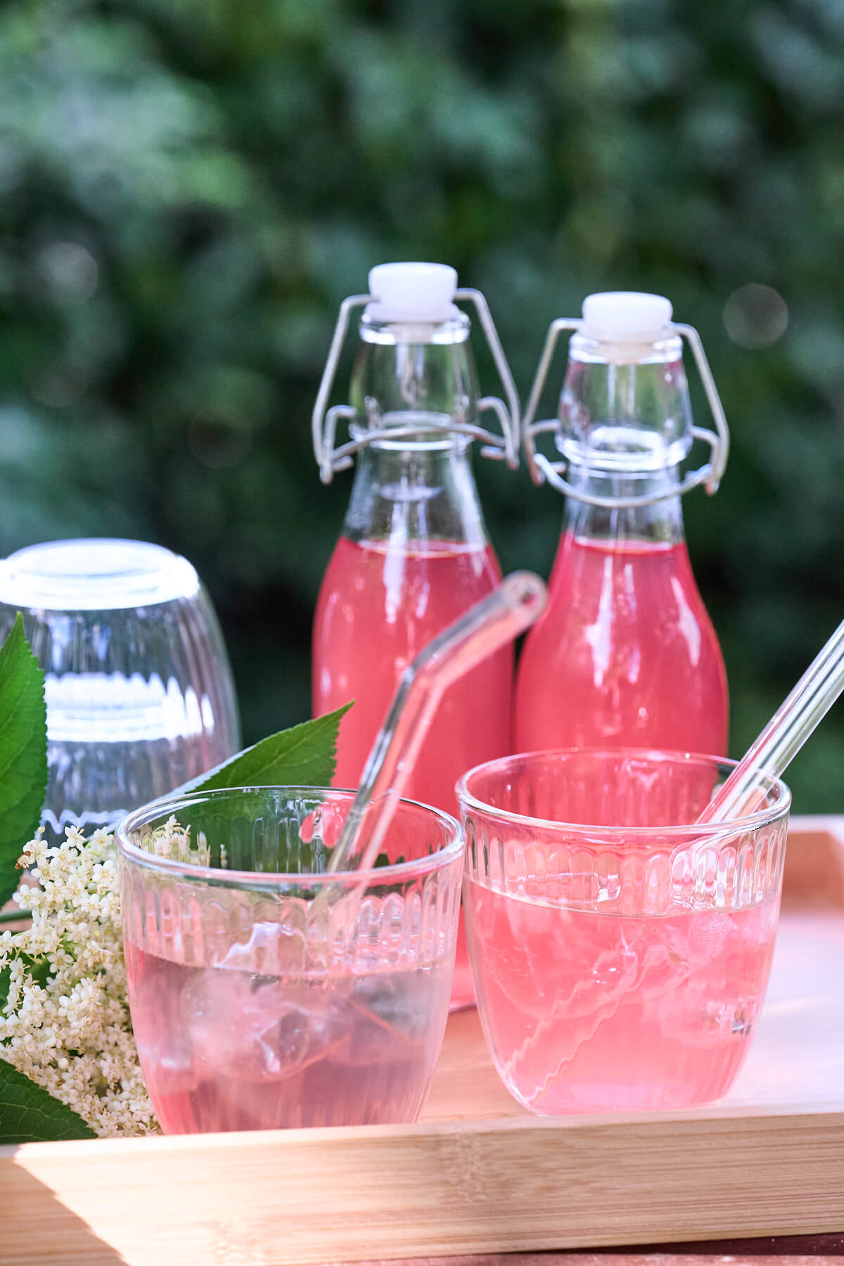 flasker med hjemmelavet rabarber hyldeblomstsaft i sommersolen.
