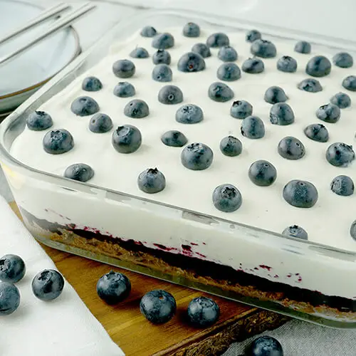 Skyrkage - Nem opskrift på skyr kage med bastogne bund og blåbær - Nem og lækker dessert