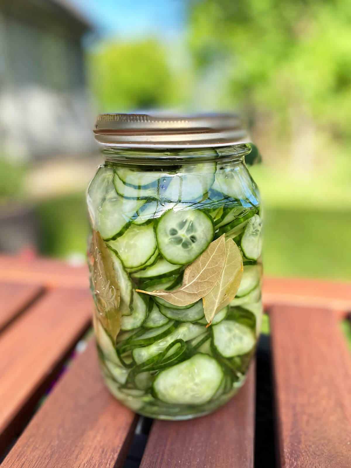 glas med hjemmelavet agurkesalat.