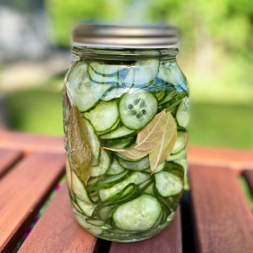 hjemmelavet agurkesalat med laurbærblade i glas.