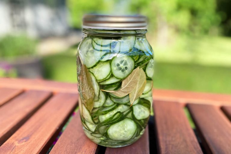 hjemmelavet agurkesalat med laurbærblade i glas.