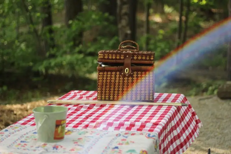 tips til den perfekte picnic med madkurv