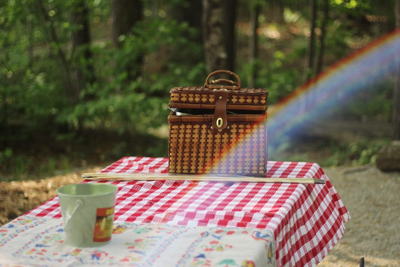tips til den perfekte picnic med madkurv