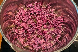 blomster i gryde med sukker og vand.