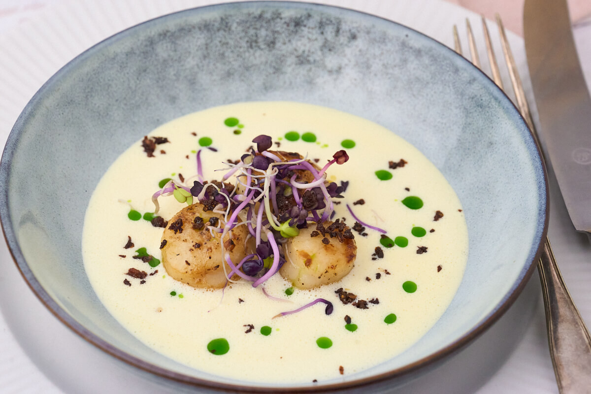 dyb tallerken med anretning af sauce blanquette og kammuslinger.