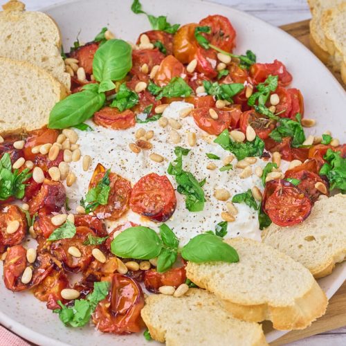 Burrata med bagte tomater, pinjekerner og basilikum serveret med brød til.