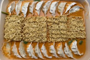 fadet med væske, nudler og frosne gyozaer.