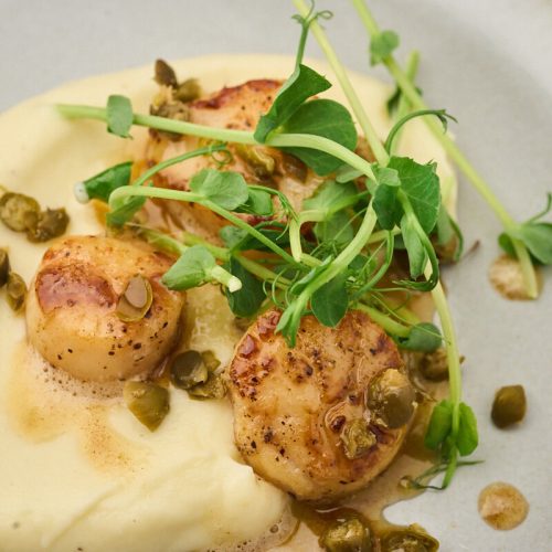 Stegte kammuslinger med blomkålspure og brunet smør med kapers.