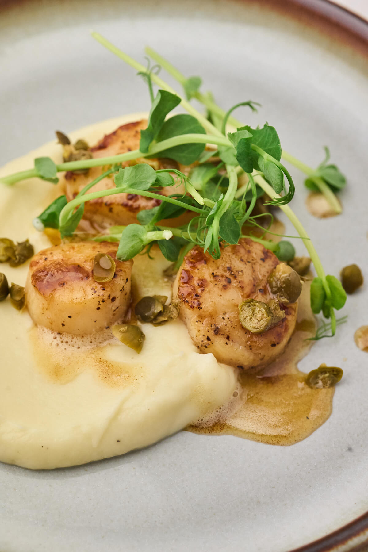 Stegte kammuslinger med blomkålspure og brunet smør med kapers til forret.